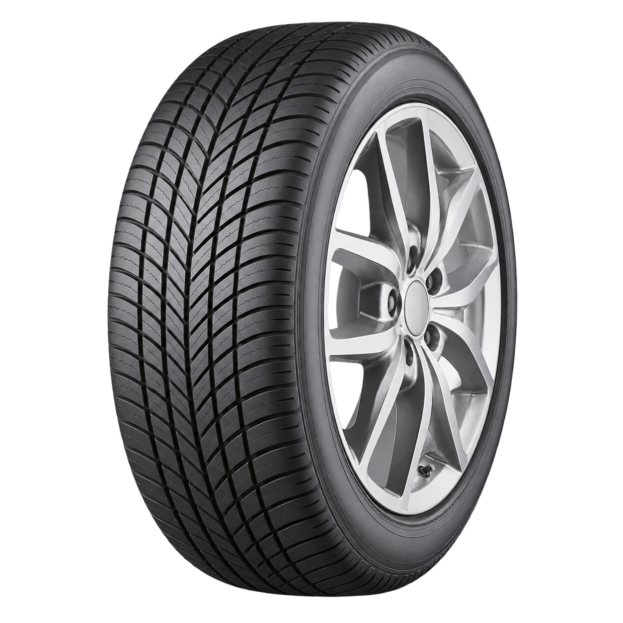 DRIVEGUARD WINTER