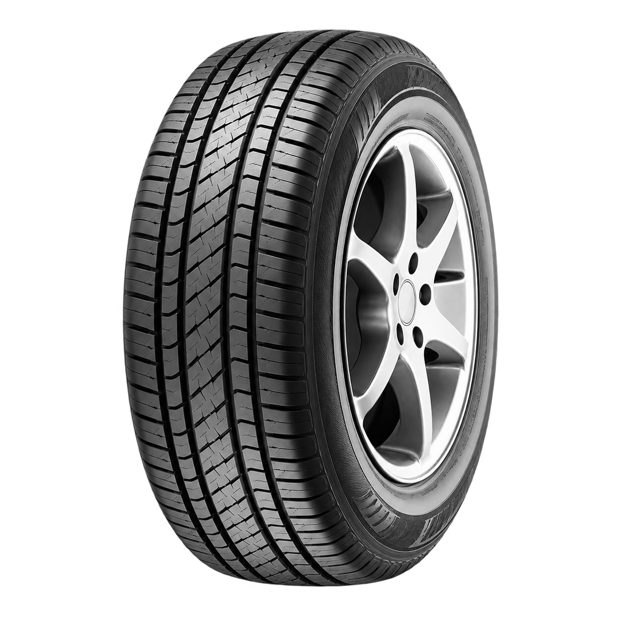 COMPETUS H/L